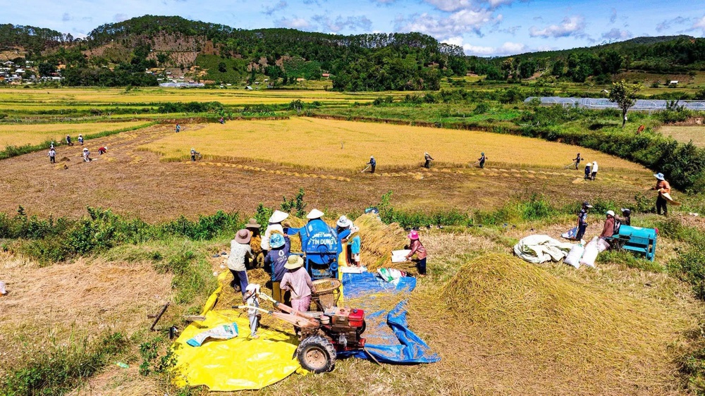 ‘Giải mã’ mắt xích trong chính sách đất đai cho đồng bào dân tộc thiểu số- Ảnh 7.