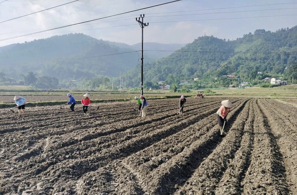 Bài 2: Khơi thông quỹ đất để chính sách đi tới đích- Ảnh 2.