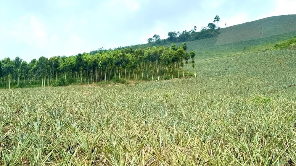 Bài 2: Khơi thông quỹ đất để chính sách đi tới đích- Ảnh 3.