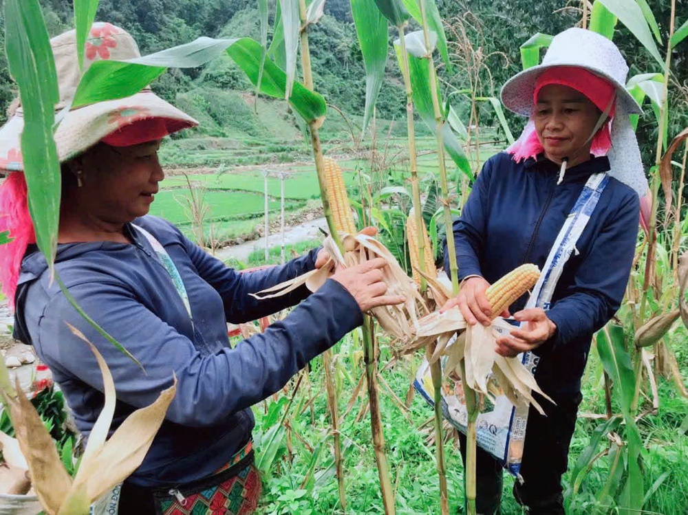 Bài cuối: Để chính sách không dừng ở quyết định giao đất- Ảnh 14.