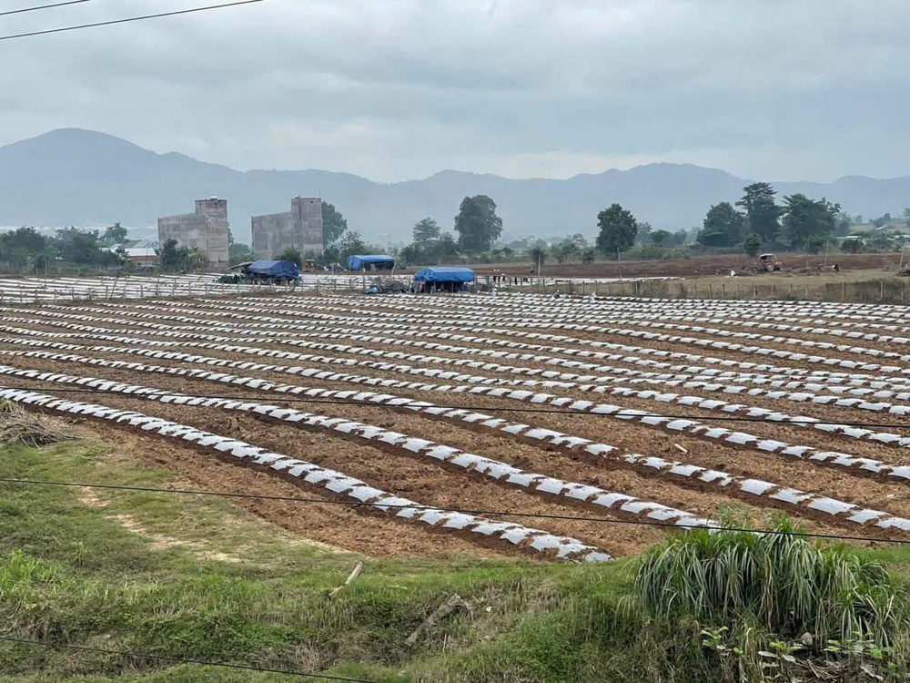 Bài cuối: Để chính sách không dừng ở quyết định giao đất- Ảnh 10.
