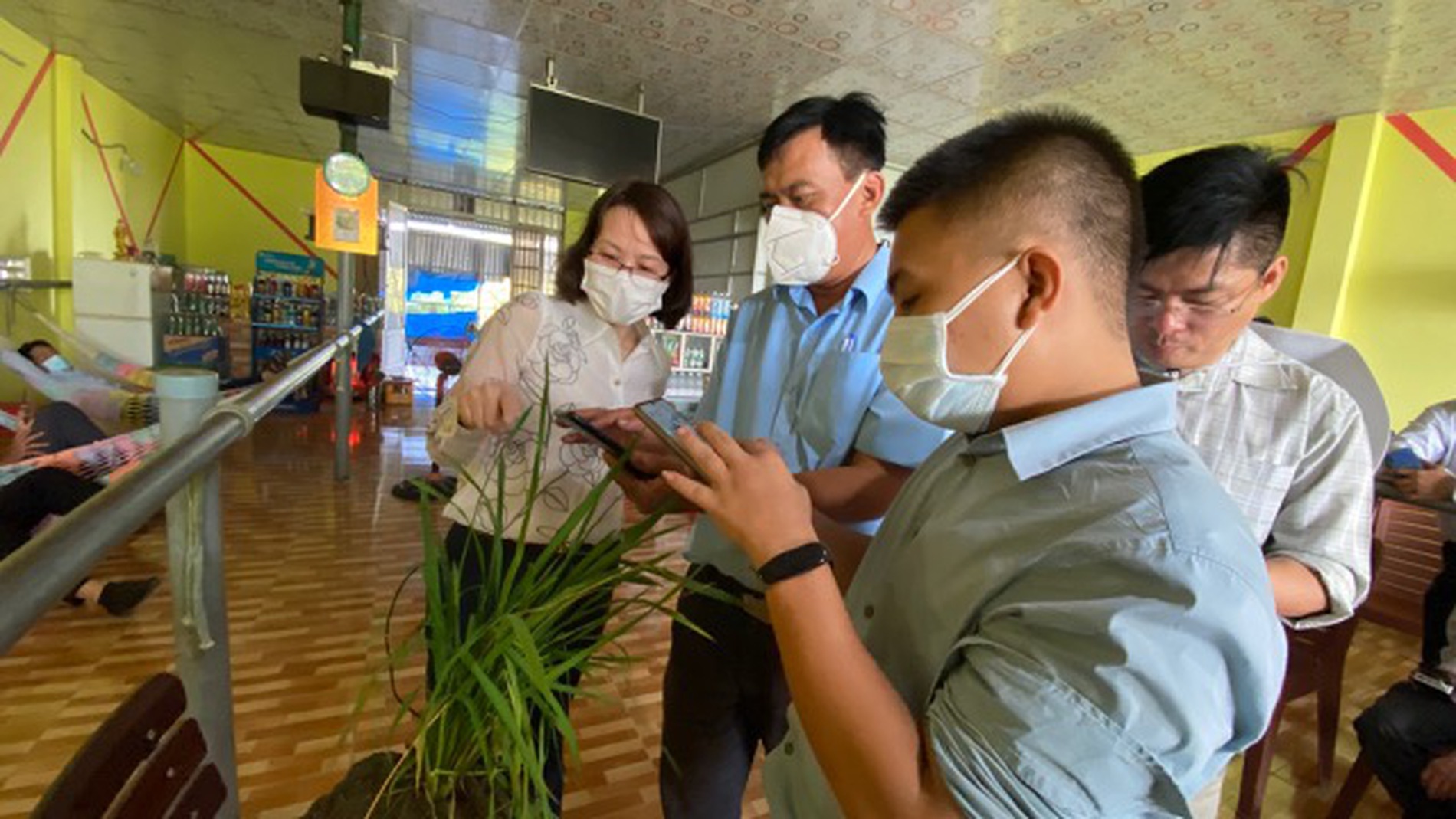 Ra mắt phần mềm nhận diện sinh vật gây hại lúa
