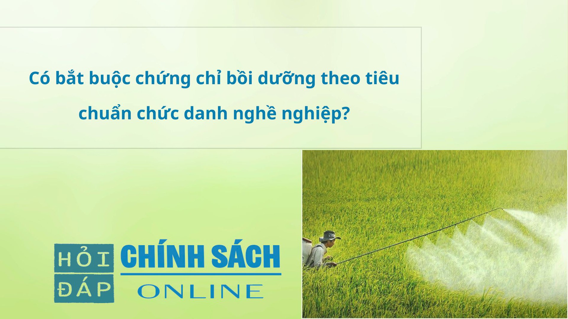 Có bắt buộc chứng chỉ bồi dưỡng theo tiêu chuẩn chức danh nghề nghiệp
