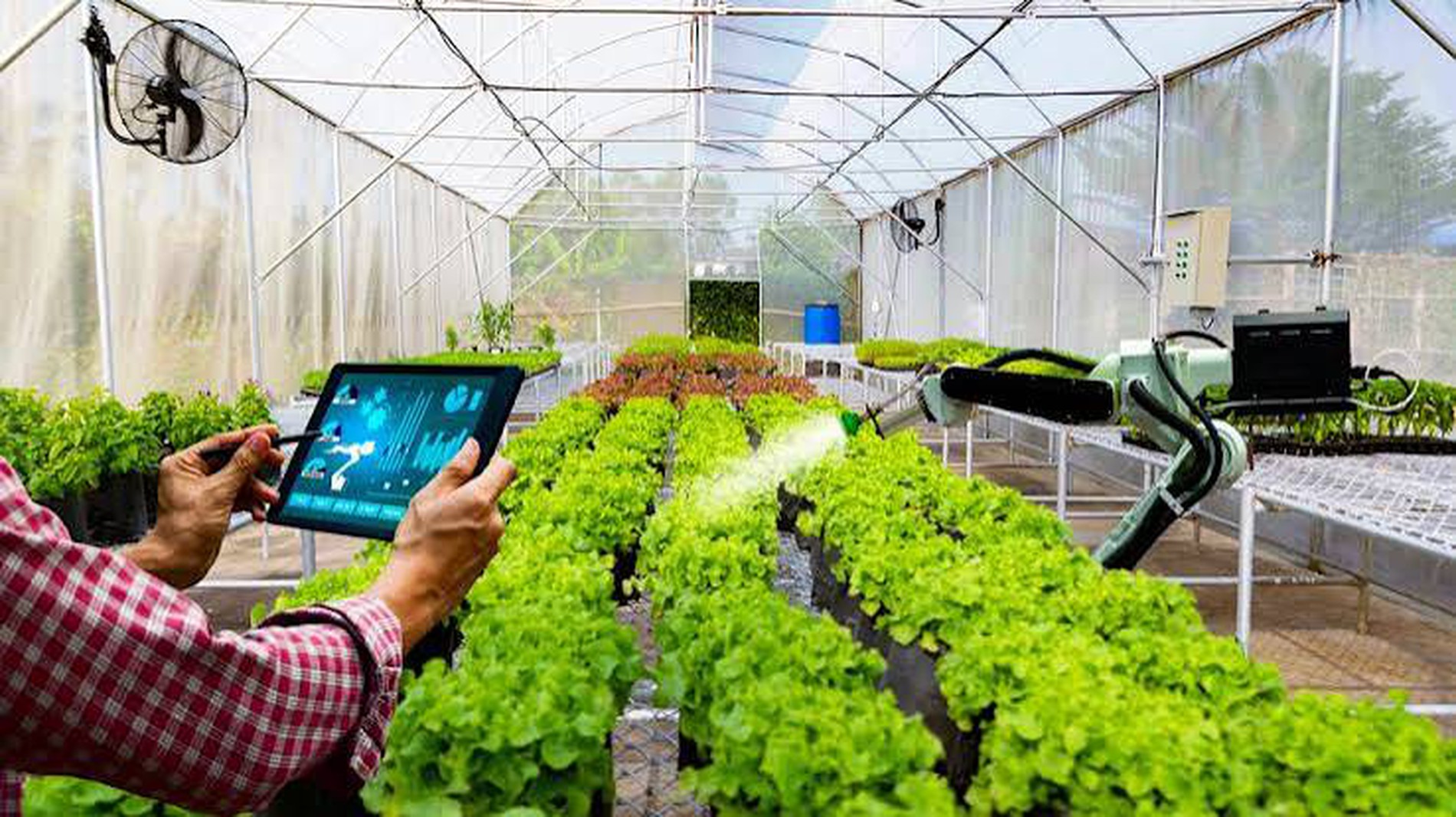 Chính sách ưu đãi đối với các dự án đầu tư trong khu nông nghiệp ứng dụng công nghệ cao
