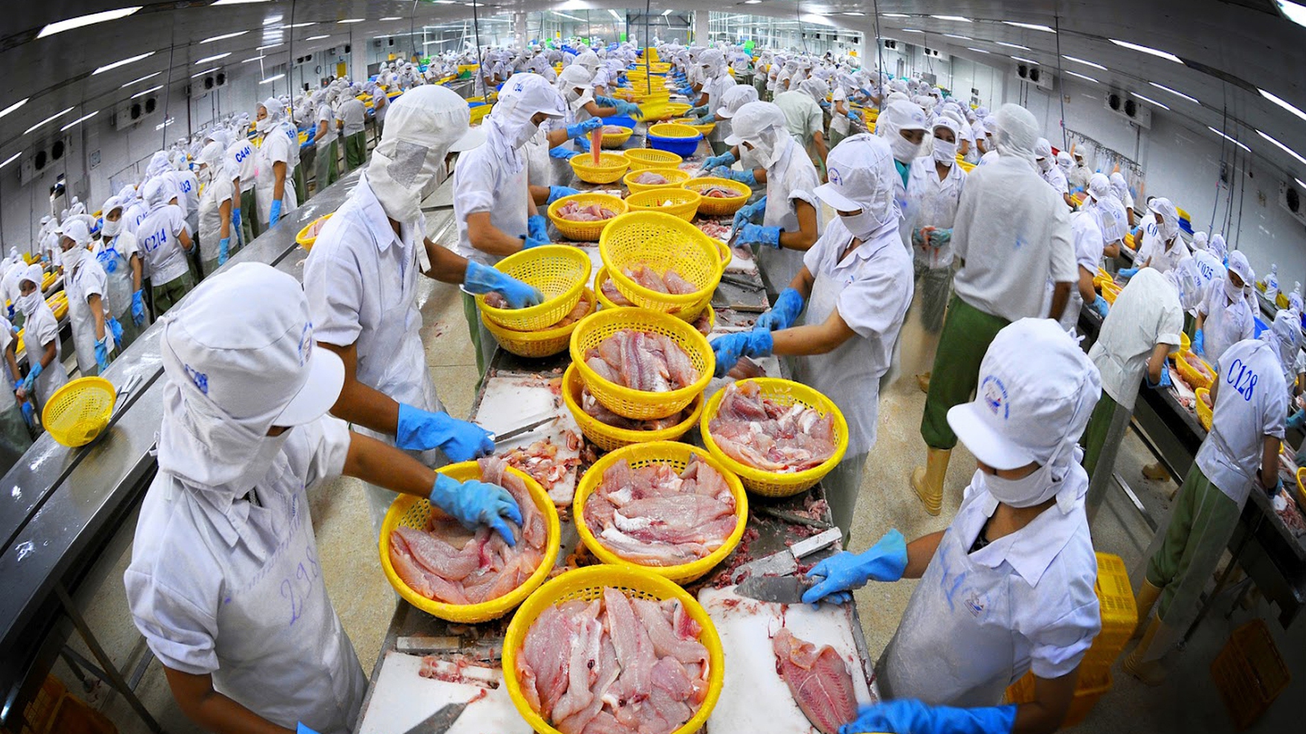 Xuất khẩu thuỷ sản: Hiện thực hoá mục tiêu 12,5 tỷ USD