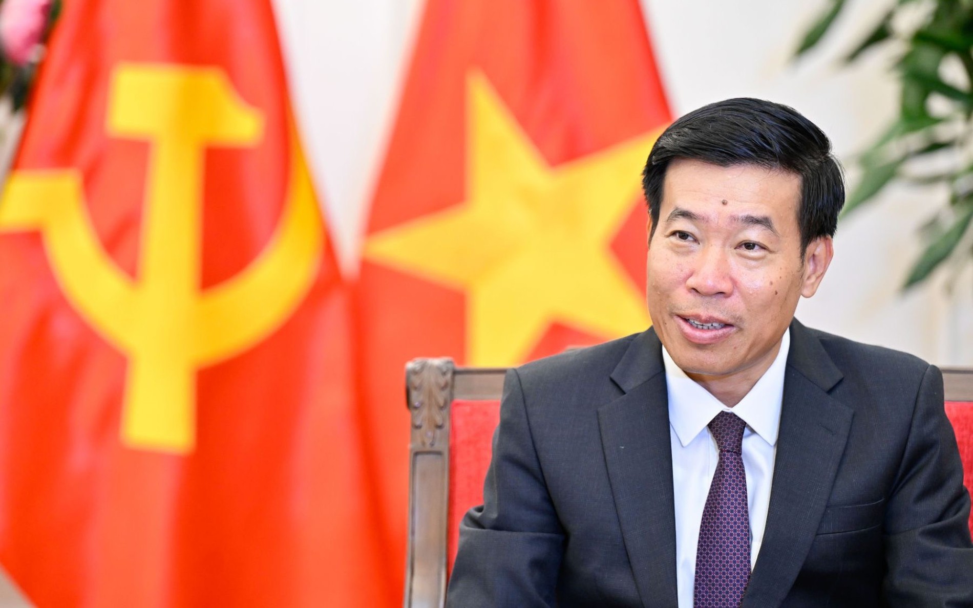 VN, New Zealand seek fresh momentum for Comprehensive Strategic Partnership