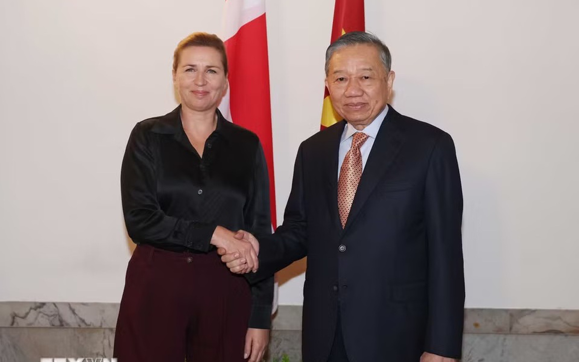 越共中央总书记、国家主席苏林与丹麦首相梅特·弗雷泽里克森举行会谈