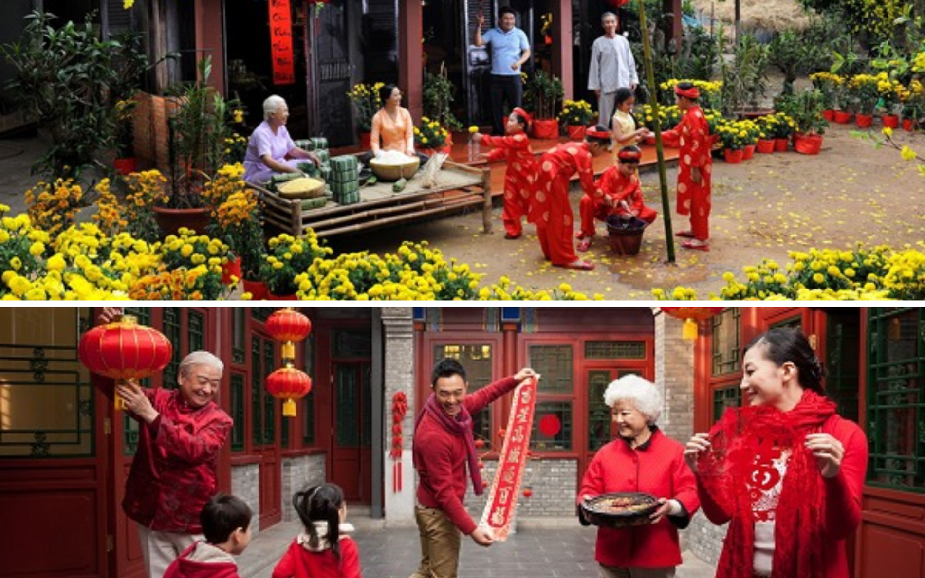 深耕越南迎新春，共话合作启新程