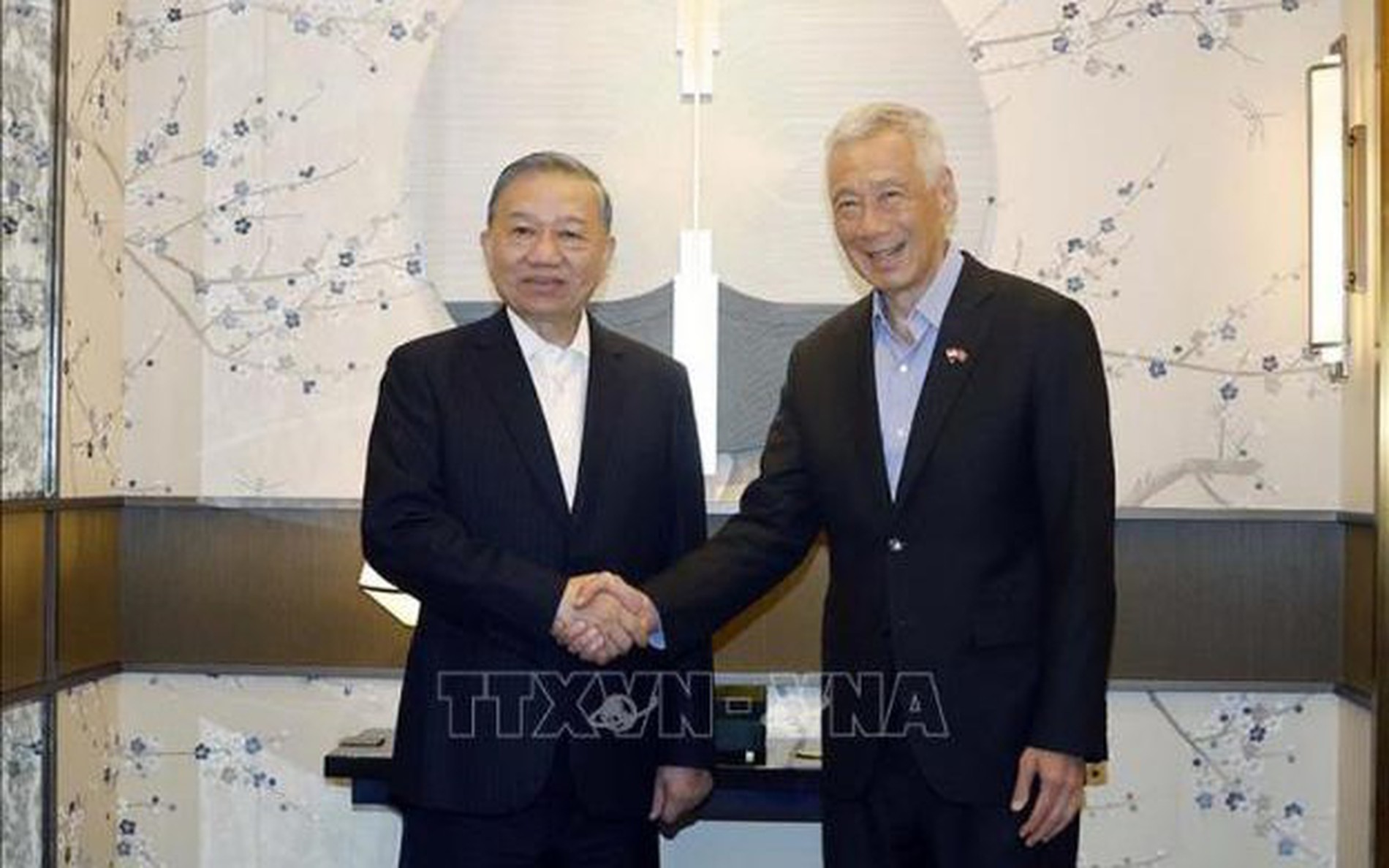 越新关系成为东盟国家间关系的典范