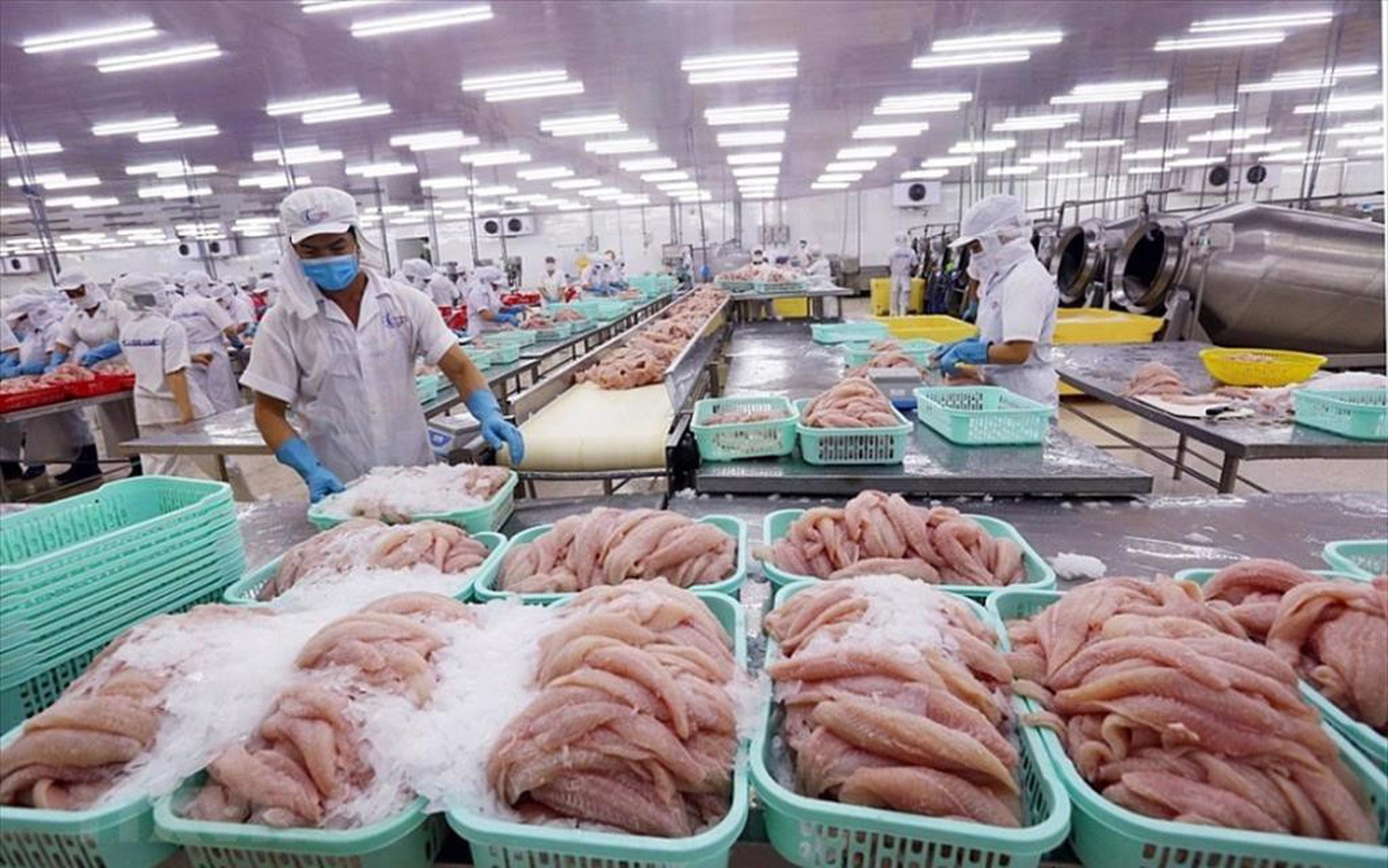 越南水产品出口保持增长势头，拟实现出口额达120亿美元目标