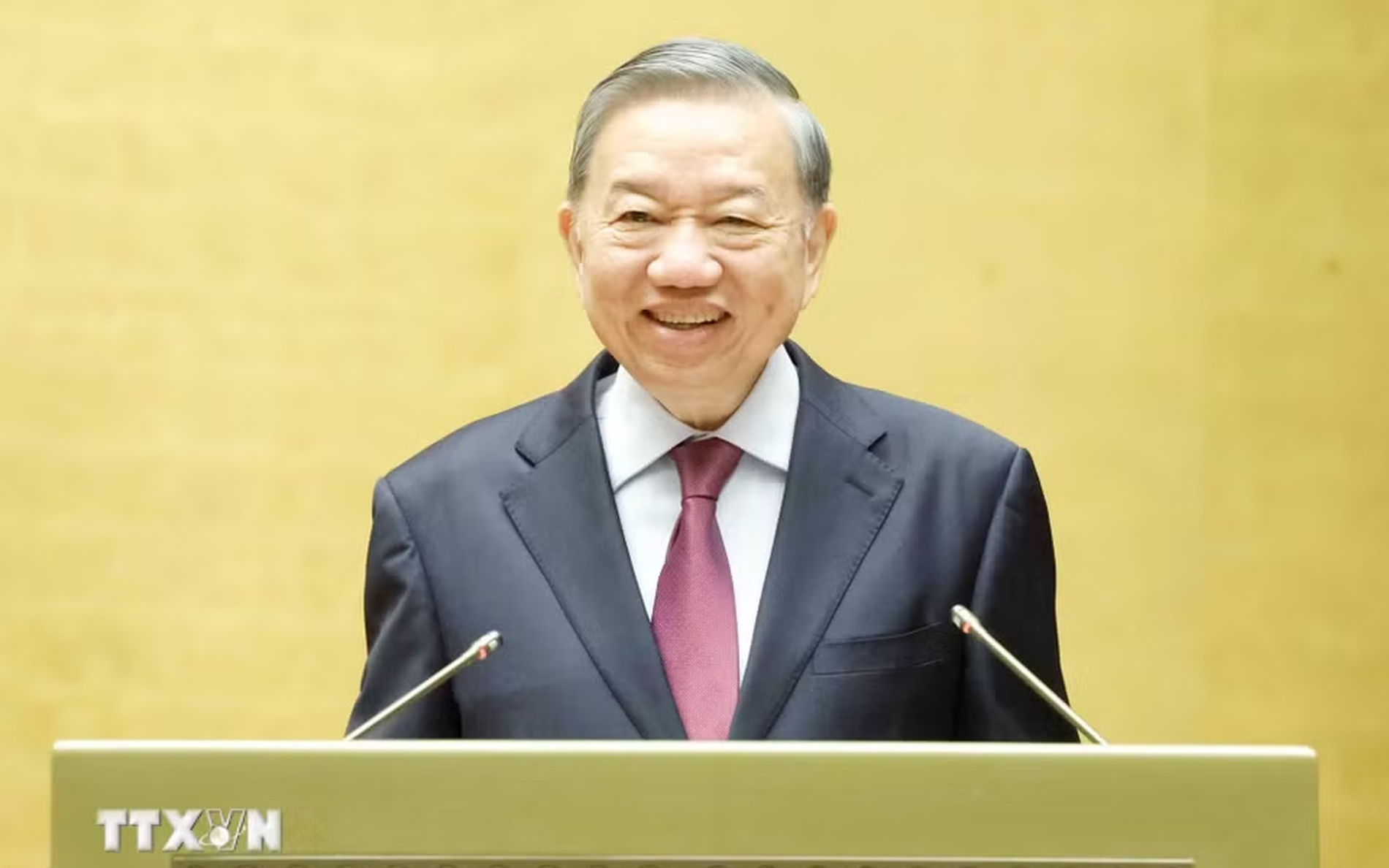 总书记、国家主席苏林出席贯彻落实越共十四大对外路线的第06号决议全国会议