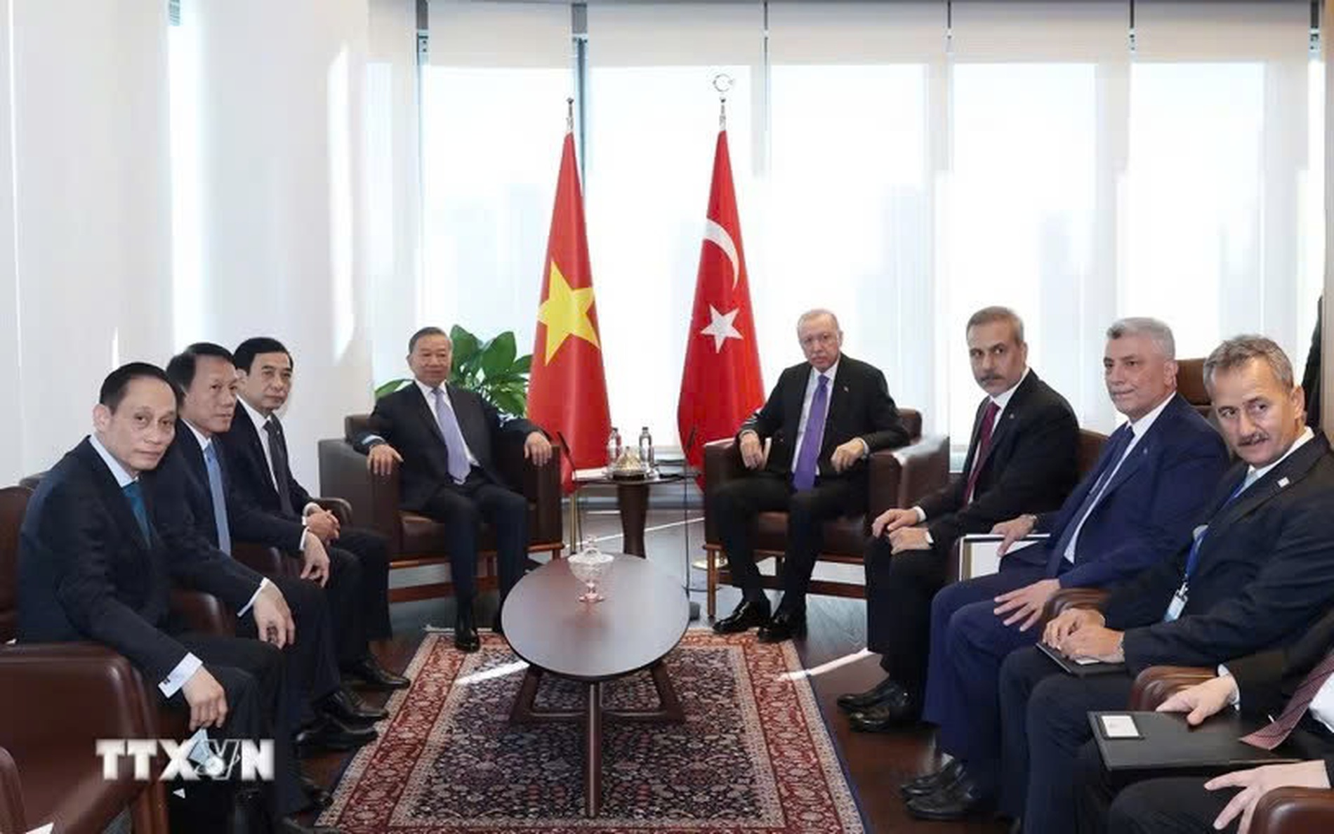 越共中央总书记、国家主席苏林会见土耳其总统