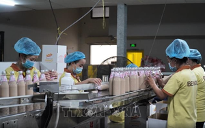 Bến Tre phấn đấu có thêm nhiều sản phẩm đạt chứng nhận Halal