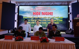 Bảo vệ rừng vùng giáp ranh Kon Tum, Quảng Nam và Quảng Ngãi