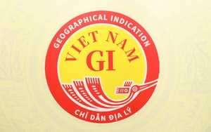 Công bố Biểu trưng chỉ dẫn địa lý quốc gia Việt Nam