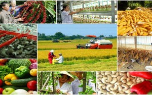 Chức năng, nhiệm vụ của Sở Nông nghiệp và Phát triển nông thôn