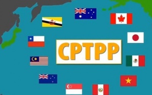 Quốc gia thứ 9 phê chuẩn Hiệp định CPTPP