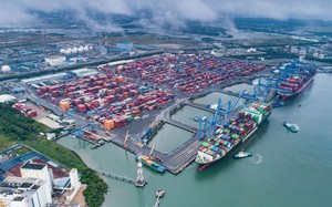 3 cảng biển Việt Nam lọt TOP 100 cảng container lưu thông hàng hóa lớn nhất thế giới