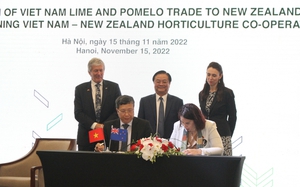 Thêm hai loại quả của Việt Nam chính thức được xuất khẩu sang New Zealand