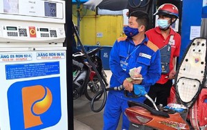 Chỉ đạo, điều hành của Chính phủ, Thủ tướng Chính phủ nổi bật tuần từ 12-19/11/2022
