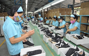 Năm 2022 kim ngạch xuất khẩu da giày có thể đạt 25 tỷ USD