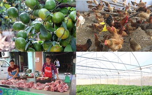 Bắc Giang: Phát triển kinh tế-xã hội vượt chỉ tiêu so với cùng kỳ