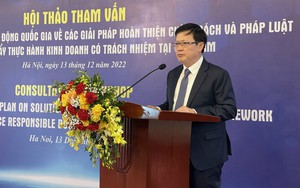 Tham vấn Chương trình hành động quốc gia về thực hành kinh doanh có trách nhiệm