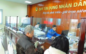 Tăng cường thanh tra, giám sát toàn diện hoạt động của Quỹ tín dụng nhân dân