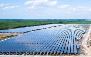 Bamboo Capital đẩy mạnh phát triển điện mặt trời áp mái khu công nghiệp