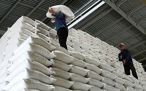 Hỗ trợ gạo cho 2 tỉnh trong thời giáp hạt