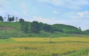 Chuyển mục đích sử dụng đất tại tỉnh Bắc Giang
