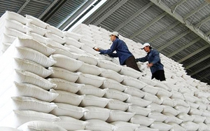 Xuất cấp hơn 484 tấn gạo cho tỉnh Hà Giang 