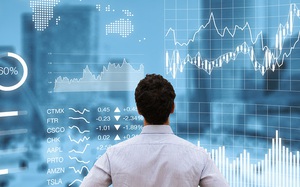 Chính phủ quyết tâm bảo vệ nhà đầu tư chân chính