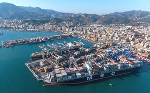 Vụ 100 container hạt điều: Đã thu hồi 12, bán lại 18 container