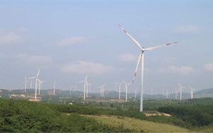 Quảng Trị, Israel tìm kiếm cơ hội hợp tác trong lĩnh vực năng lượng tái tạo