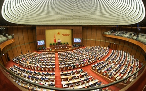 Chính phủ, Quốc hội phối hợp trong lập pháp ngày càng chặt chẽ, hiệu quả và kịp thời