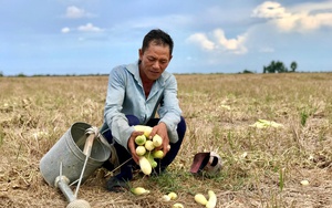 Biến đổi khí hậu là thách thức cấp bách với ngành nông nghiệp ASEAN