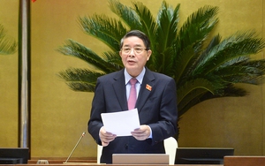 Đại biểu Quốc hội nhất trí có cơ chế, chính sách đặc thù phát triển tỉnh Khánh Hòa