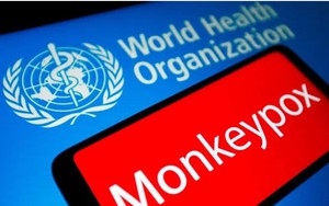 WHO: Đậu mùa khỉ chưa phải là tình trạng khẩn cấp y tế toàn cầu