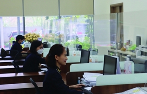 Hải quan Quảng Ninh đẩy mạnh chuyển đổi số toàn diện hoạt động nghiệp vụ