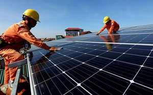 Pin mặt trời Việt Nam nhập khẩu vào Mỹ được miễn thuế