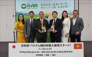 Gạo ST25 Việt Nam đã có 'chỗ đứng' tại thị trường Nhật Bản