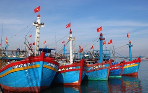 Thủ tướng Chính phủ yêu cầu Bộ NN&PTNT nghiên cứu hỗ trợ ngư dân ảnh hưởng do giá xăng, dầu