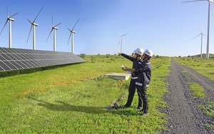Quy định về khoảng cách an toàn của công trình điện gió