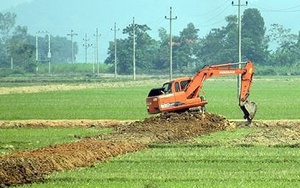 Làm rõ thẩm quyền chuyển mục đích sử dụng đất trồng lúa để thực hiện Dự án tại Long An