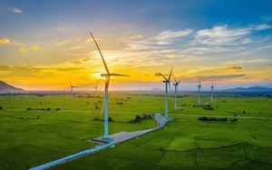 Điện gió - 'Chìa khóa' cho năng lượng tái tạo phát triển bền vững