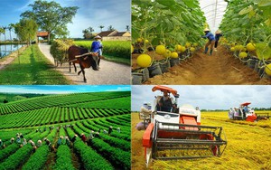 Đẩy mạnh giáo dục nghề nghiệp khu vực nông nghiệp, nông thôn