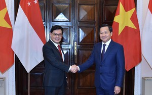 Phó Thủ tướng Lê Minh Khái hội đàm với Phó Thủ tướng Singapore Vương Thụy Kiệt