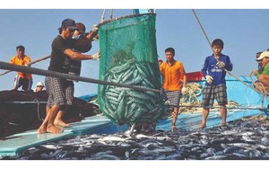 Phê duyệt Đề án Ngăn chặn, giảm thiểu và loại bỏ khai thác hải sản bất hợp pháp, không báo cáo và không theo quy định, gỡ cảnh báo “Thẻ vàng” của Ủy ban châu Âu (EC)