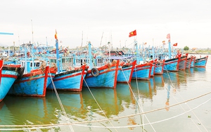 Đề xuất thành lập Quỹ hỗ trợ phát triển nghề cá Khánh Hòa